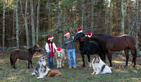 Nancy's Holiday card Photos